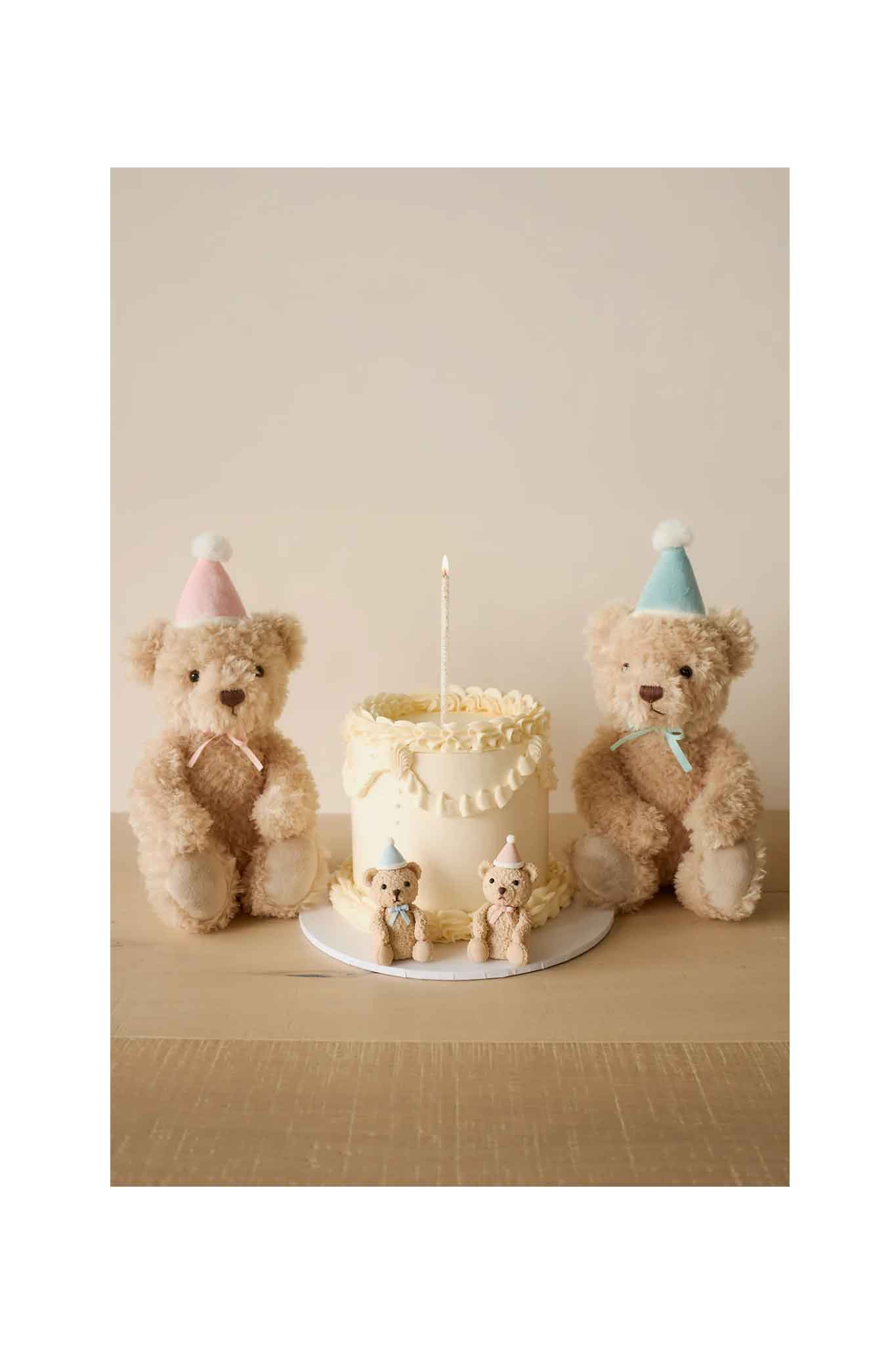 Snuggle Bunnies - Birthday Arthur - Sky - Image 5
